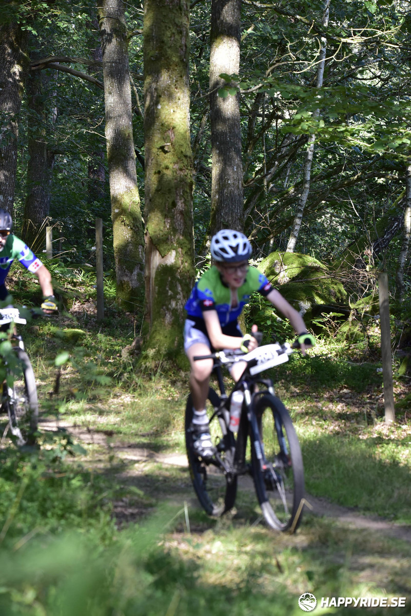 Bild från Bockstensturen 2019